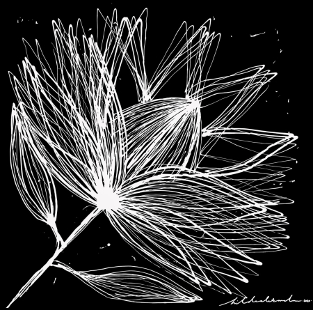 PROTEA 3