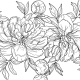 GARDEN OF GROWTH