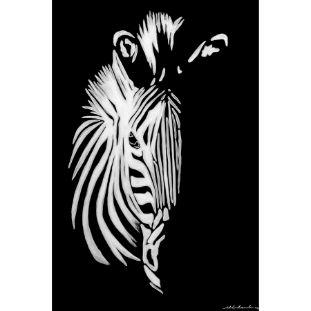 Silent Stripes