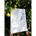 Amalfi Allure